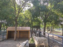 -长白岛森林公园