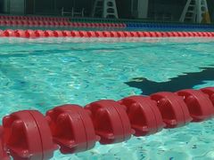 -重庆市奥林匹克体育中心-游泳跳水馆