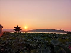 -西湖外事游船(湖滨二公园外事游船码头)