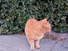 -白石桥南(地铁站)