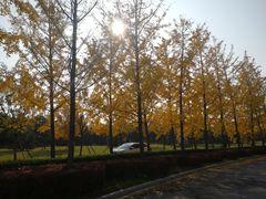 -北京园博大酒店