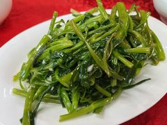 -蛇口康乐快餐鱼仔档(翠苑小区店)