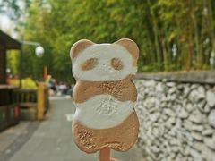 -成都大熊猫繁育研究基地