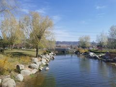 -羊亭河湿地公园