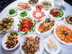 -四姑娘川味海鲜(八爪鱼店)
