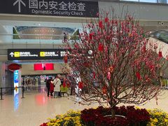 -广州白云国际机场-T2航站楼