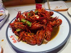 -杨氏青龙虾·羊蝎子(托乐嘉店)
