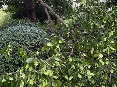 -杭州城北体育公园