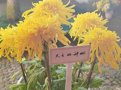 -杭州植物园