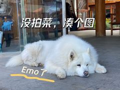 -江渔儿酸菜鱼(东厦一百店)