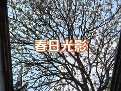 -乌山风景区