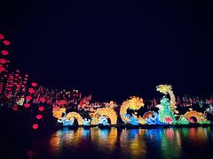 -淄博花灯齐彩城