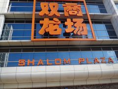 -双龙商场(环城南路店)