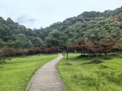 -五泄景区