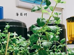 -三厘鸡蛋仔(印力店)