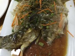 -悠悠美食