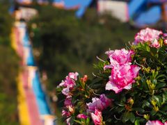 -东莞观音山旅游风景区