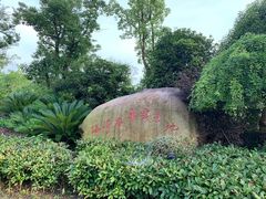 -上海海湾国家森林公园