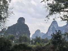 -明仕田园