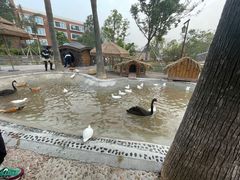 -珠海海泉湾神秘岛亲子乐园