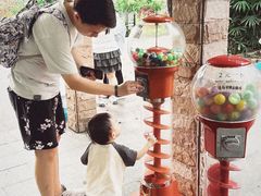 -晓港公园