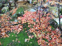 -丹东天桥沟景区