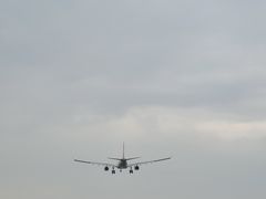 -空港花田景区
