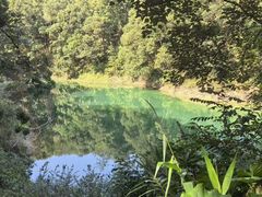 -广州市流溪河国家森林公园