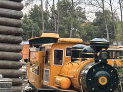 -合肥滨湖国家森林公园