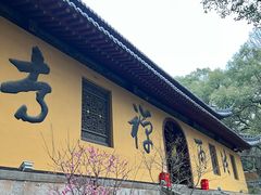 -普陀山风景名胜区-法雨禅寺