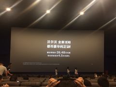 -SFC上影影城(港汇永华IMAX激光店)