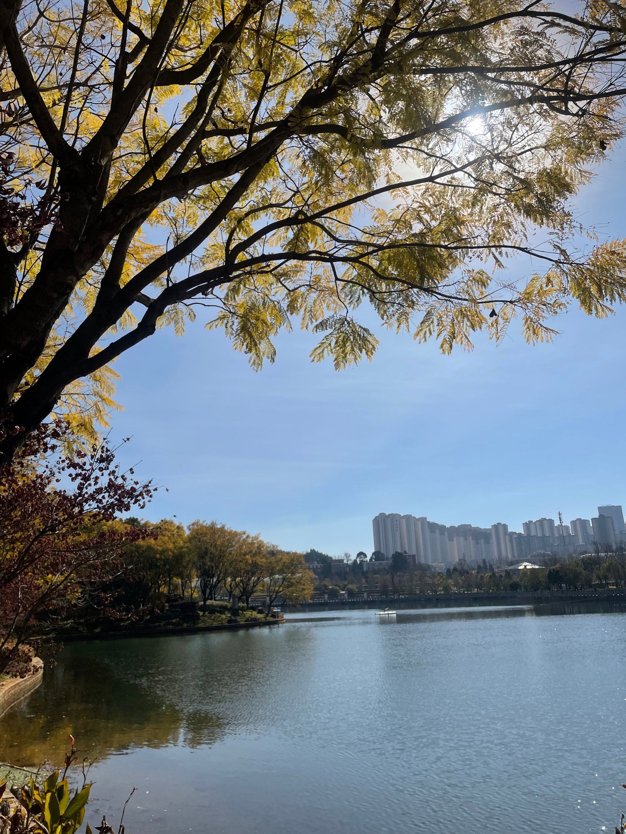 冬天昆明湖的秀丽