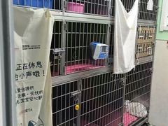 -天津前进宠物医院(前进道店)