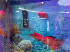 -雅悦齿科(顾村公园店)