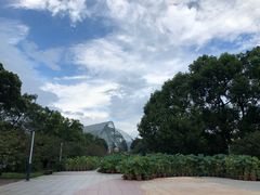 -南山植物园
