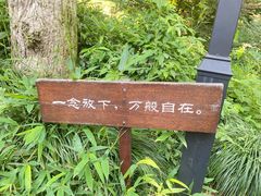 -灵隐飞来峰景区