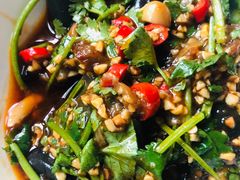 -食家鸽园