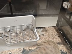 -瑞虹新天地月亮湾