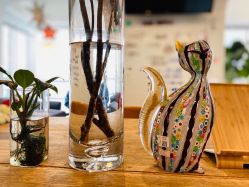 -净漪造型 PURE RIPPLE