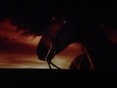 -橙天嘉禾影城(苏州印象城店)