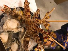 -鲜入围煮花胶鸡海鲜火锅