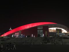 -南京奥林匹克体育中心-体育馆