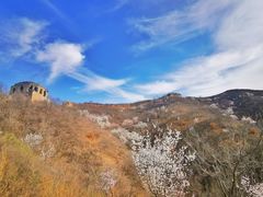 -蟠龙山长城景区
