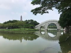 -顺峰山公园