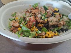 -油梨树 AVOCADO TREE(亮马桥店)