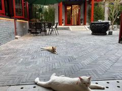 -府学·秋果S酒店(北京南锣鼓巷四合院店)