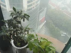 -尚岛私房菜(西方巷店)