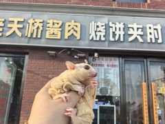 -老天桥酱肉烧饼夹肘子(天桥店)