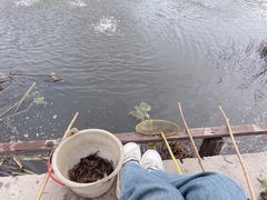 -同銮特种养殖场·龙虾垂钓