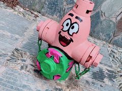 -一杯黔茶(西江千户苗寨古街店)